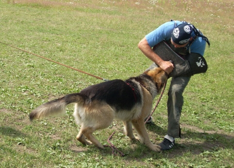 Training in Estonia 6/2007